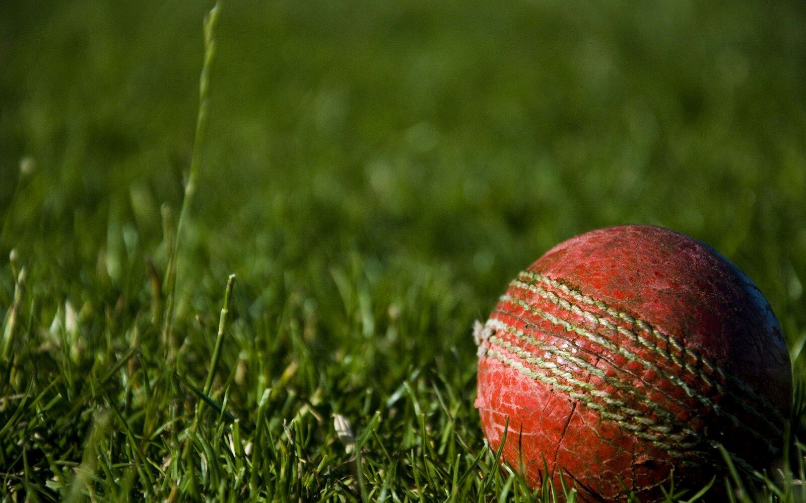Cricket ball on grass